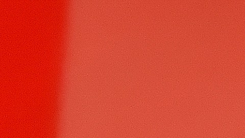 El “Nene” Beltrán no le llenó el ojo a Víctor Manuel Vucetich.