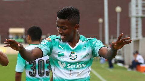 Joao Maleck libre