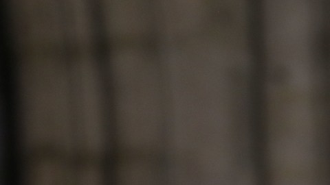 Juan Sandoval Iñiguez, cardenal emérito de Guadalajara.