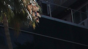 Lindsey Vonn soltera Subban