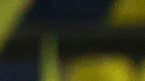 Luis Reyes se va del América