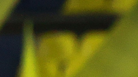 Luis Reyes se va del América
