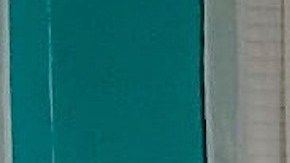 Mariela Estrada no podía renovar su pasaporte o matrícula consular