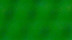 Mayorga Pumas Chivas