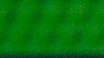 Mayorga Pumas Chivas