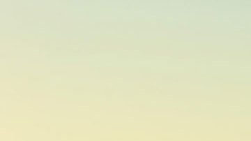 MustangMachEGTPerfomance-03122020-01