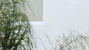 Norma Palafox se va ostentando el récord de máxima goleadora del Rebaño.