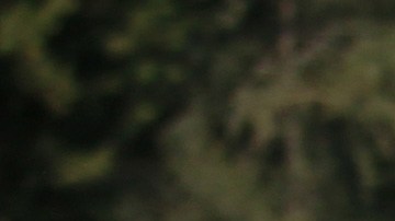 Norma palafox Exatlón