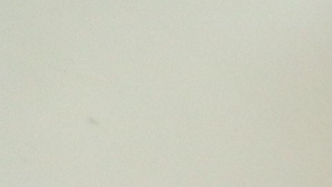 Ofelia Díaz dice que la noticia que otro cierre le cayó super mal. / fotos: Jorge Luis Macías.