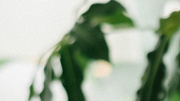 Pamela Silva junto a Ford