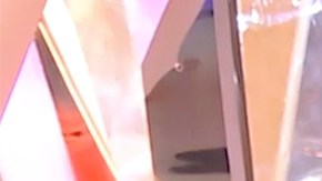 Patty Manterola en 'El Domo del Dinero'