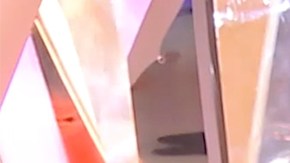 Patty Manterola en 'El Domo del Dinero'