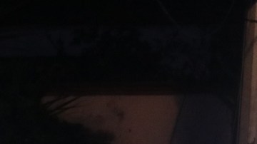 FOTOS: Mujer renta su casa por AIRBNB e inquilina le deja 2 muertos en el lugar. Escena crimen