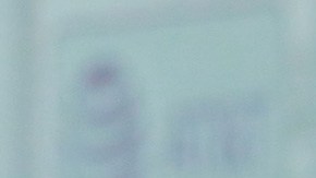 Roger Martínez Andrés Ibargüen fuera del América