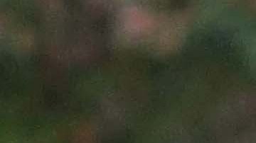 Santos García es el nuevo alcalde de Madera.