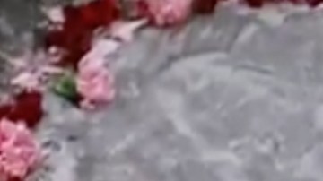 VIDEO: Aparece figura de la Virgen de Guadalupe en calle de México