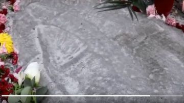 VIDEO: Aparece figura de la Virgen de Guadalupe en calle de México