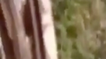 VIDEO: CJNG incendia camión monstruo con sicarios de grupo rival dentro