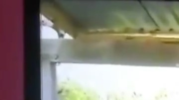 VIDEO: Cártel del Golfo levanta, interroga y ejecuta a lesbiana por ser supuesta espía