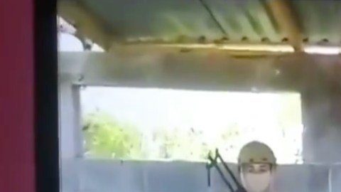 VIDEO: Cártel del Golfo levanta, interroga y ejecuta a lesbiana por ser supuesta espía