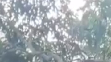 VIDEO: Grupo Sombra cuelga a hombre; "Vamos a ir a sacar de su casa uno por uno", amenazan