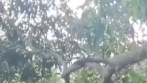 VIDEO: Grupo Sombra cuelga a hombre; "Vamos a ir a sacar de su casa uno por uno", amenazan