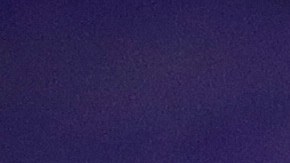 Estados Unidos acelera la distribución de las vacunas Covid.