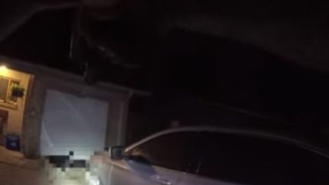 Captura de video.