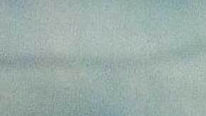 "El Principe Guaraní" dominó la Liga MX a placer por varios años.