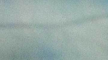 "El Principe Guaraní" dominó la Liga MX a placer por varios años.