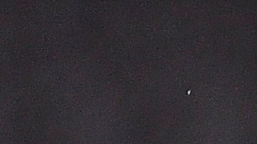 El canadiense Alphonso Davies, un crack en toda la extensión de la palabra.