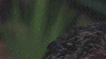 Diego dirigiendo a Racing al lado de Carlos Fren en 1995.