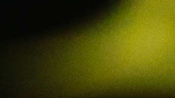 amparo dieter villalpando