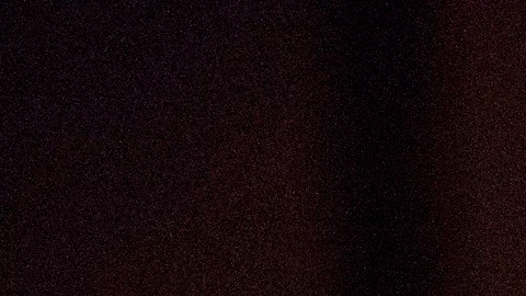 McConnell dio también la enhorabuena la vicepresidenta electa, Kamala Harris.