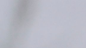 gerardo martino chicharito