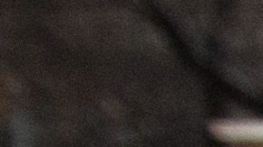 Trump canceló la protección migratoria de más de 300,000 inmigrantes.