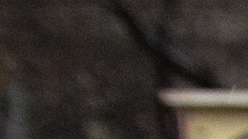 Trump canceló la protección migratoria de más de 300,000 inmigrantes.