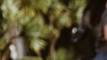 La astrología encuentra similitudes entre las razas caninas y los signos.