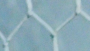 leon chivas semifinales