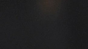 leon pumas platilla mas cara