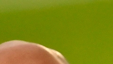 El Manchester United no pudo desbancar al Leicester en el segundo sitio.