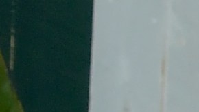 maria sharapova prometido