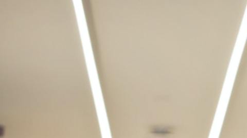 Hay signos que tendrán más éxito este año.