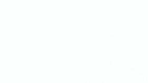 El software genera cuestionamientos sobre la privacidad.