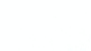 El software genera cuestionamientos sobre la privacidad.