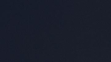 Uno de los animales perdió la vida presumiblemente tras electrocutarse.