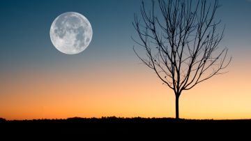 El 29 de diciembre será la última luna llena del año.