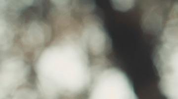 Astróloga le dice a cada signo qué día del 2021 podría comprometerse.