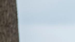 Caminar trae múltiples beneficios.