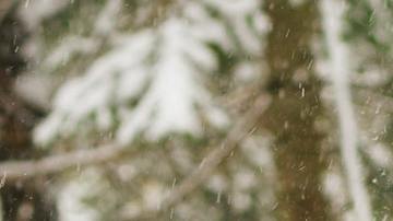 El invierno trae una energía especial.